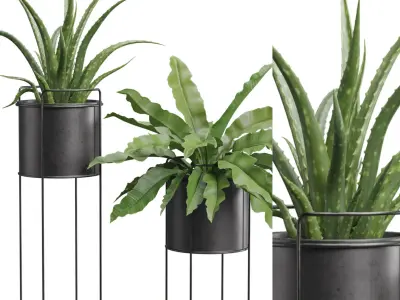 Plants Dark Metal Stand 3D model