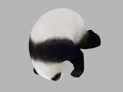 animated panda Low-poly 3D model