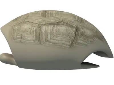 Tortoise Shell Skeleton Low-poly 3D model