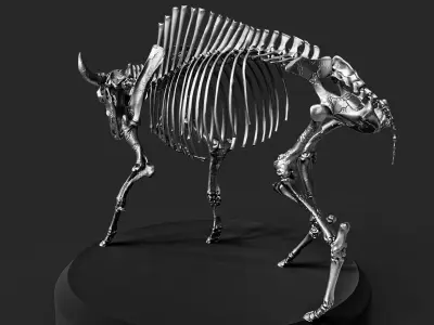 Bison Skeleton Concept Art Model 3D model