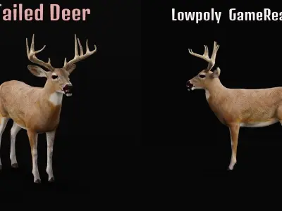 Virginia White Tailed Male Deer  Low-poly 3D model