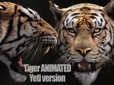 Bengal Tiger ANIMATED Yeti 3D model