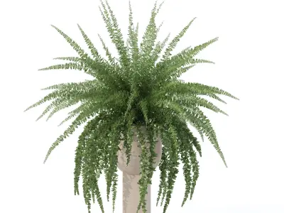 Fern in modern flower pot 3D model