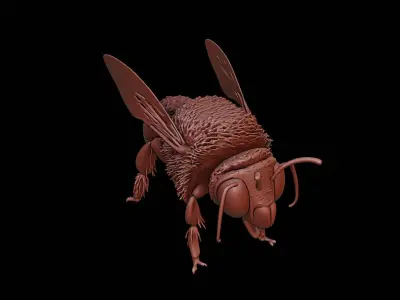 Bee Animal Sculpture 3D print model
