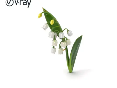 Lily of the Valley Floral Arrangement model pack Low-poly 3D model
