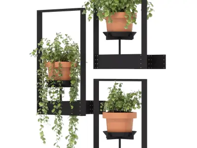 Boho Hanging Plants 04 3D model