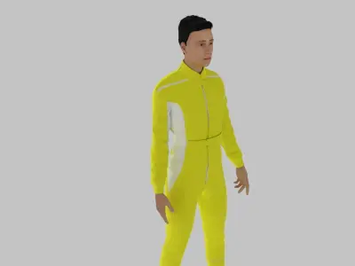 Race Driver Low-poly 3D model get
