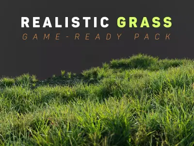 Grass Low Poly Realistic Game Ready 3D Model pack Low-poly 3D model