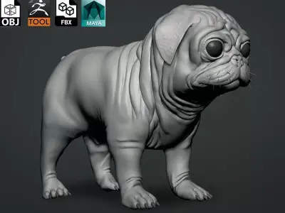 Pug Dog 3D model