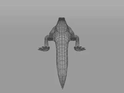 Komodo Dragon Low-poly 3D model
