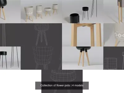 Collection of flower pots