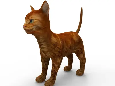 3d low poly Pet Cat Model Low-poly 3D model
