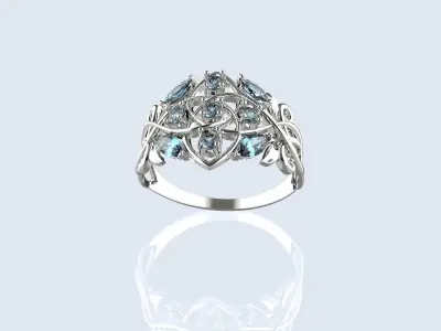 Rings  3D print model