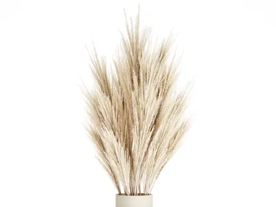 Bouquet Dried Flowers Branches  Cortaderia Pampas 539 3D model