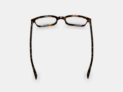 Langhorne Eyeglasses in Whiskey Tortoise 3D model