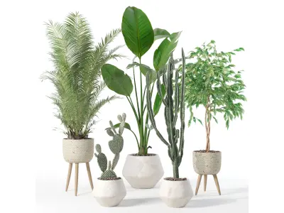 Plants collection 119 3D model