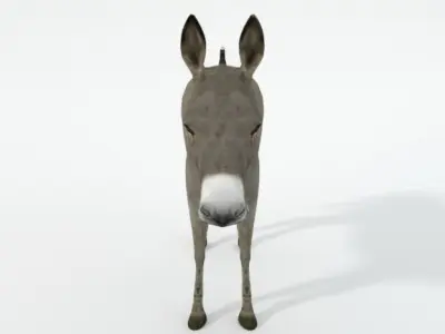 Donkey Low-poly 3D model