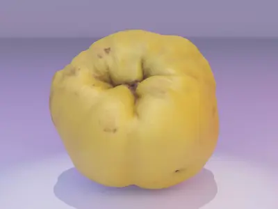 Quince fruit 02 high-poly 3D model