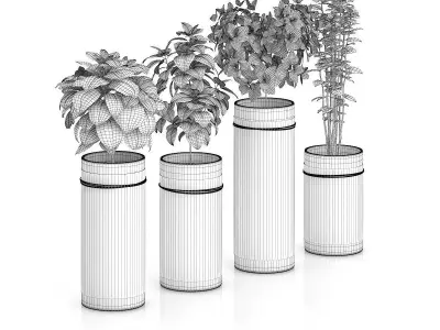 Four Herbs in Glass Pots 3D model