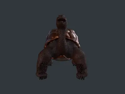 Turtle bear Low-poly 3D model
