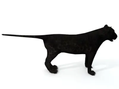 Black Panther Low-poly 3D model