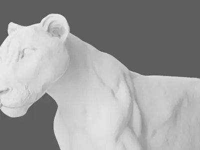 Lion 3D Model animal 3D model