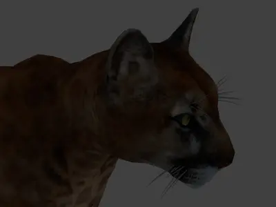 panther with full rig body and face ready game  3D model