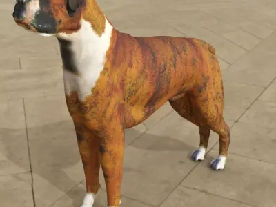 Boxer - 3D Dog Low-poly 3D model