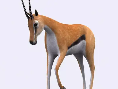 3DRT - Gazelle Low-poly 3D model