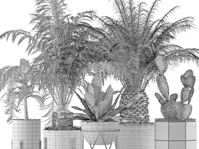 Plants Collection 23 3D model