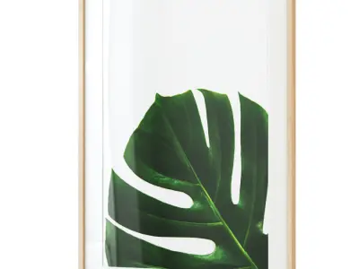 Monstera leaves gallery wall 3D model