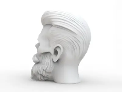 Stylized Skull with Beard and Hair 3D print model