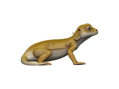 Gecko Low-poly 3D model