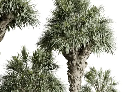 Palm Tree in a concrete pot - set indoor plant 594 3D model