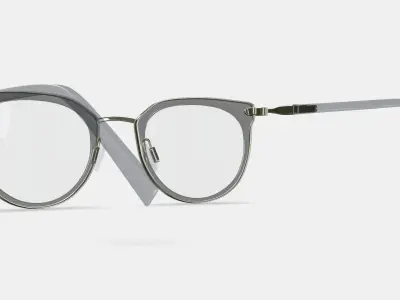 Whittier Eyeglasses in Soapstone with Riesling 3D model
