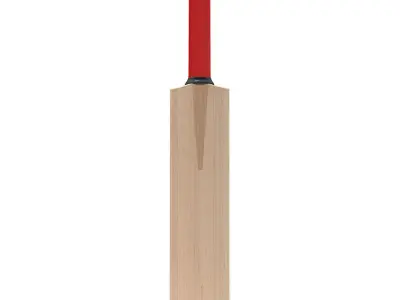 Generic Cricket Bat 3D model
