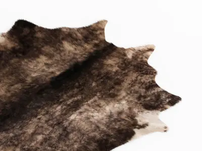 Leather Cowhide Rug 3D model