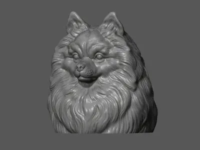 Pomeranian with a closed mouth 3D print model