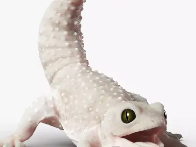 Gecko Reptile 3DS Max 3D model