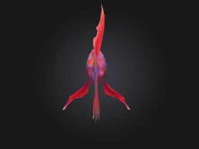 Betta Elegance Detailed Betta Fish Model for Aquarium 3D model