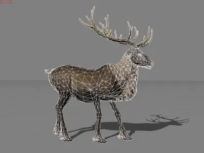 Rain Deers Animal Low-poly 3D model