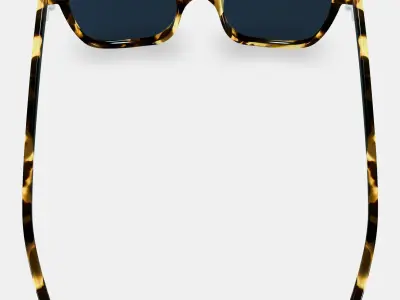 Griffin Sunglasses in Burnt Honeycomb Tortoise 3D model