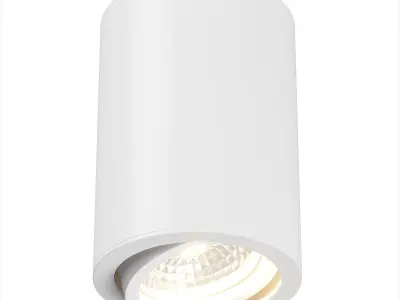 21440x Rullo Lightstar ceiling lamp 3D model