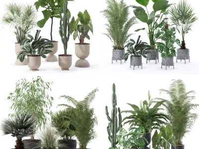 20 Photorealistic Flowers for Interiors - set 125 130 135 140 3D Model Collection