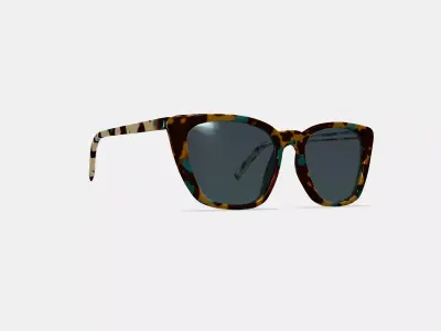 Janelle Sunglasses in Seashore Tortoise 3D model
