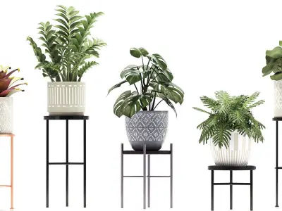 Collection of Exotic plants 3D model