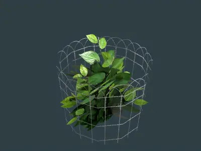 Plant Cage with Bush Low-poly 3D model