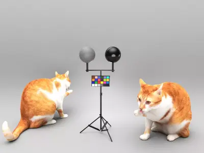 Cat licking paw 45 Low-poly 3D model