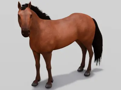 Horse 3D Model Low-poly 3D model