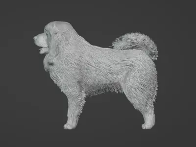 Caucasian Shepherd Dog 3D model